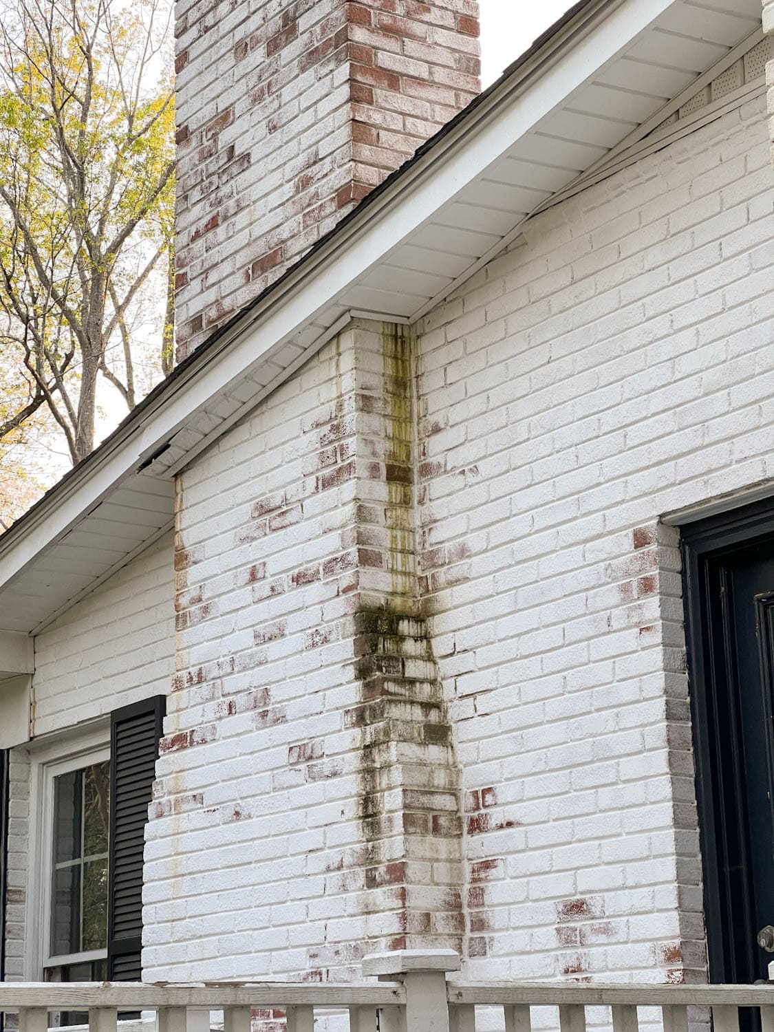 dirty limewashed brick exterior with algae, moss, and mildew