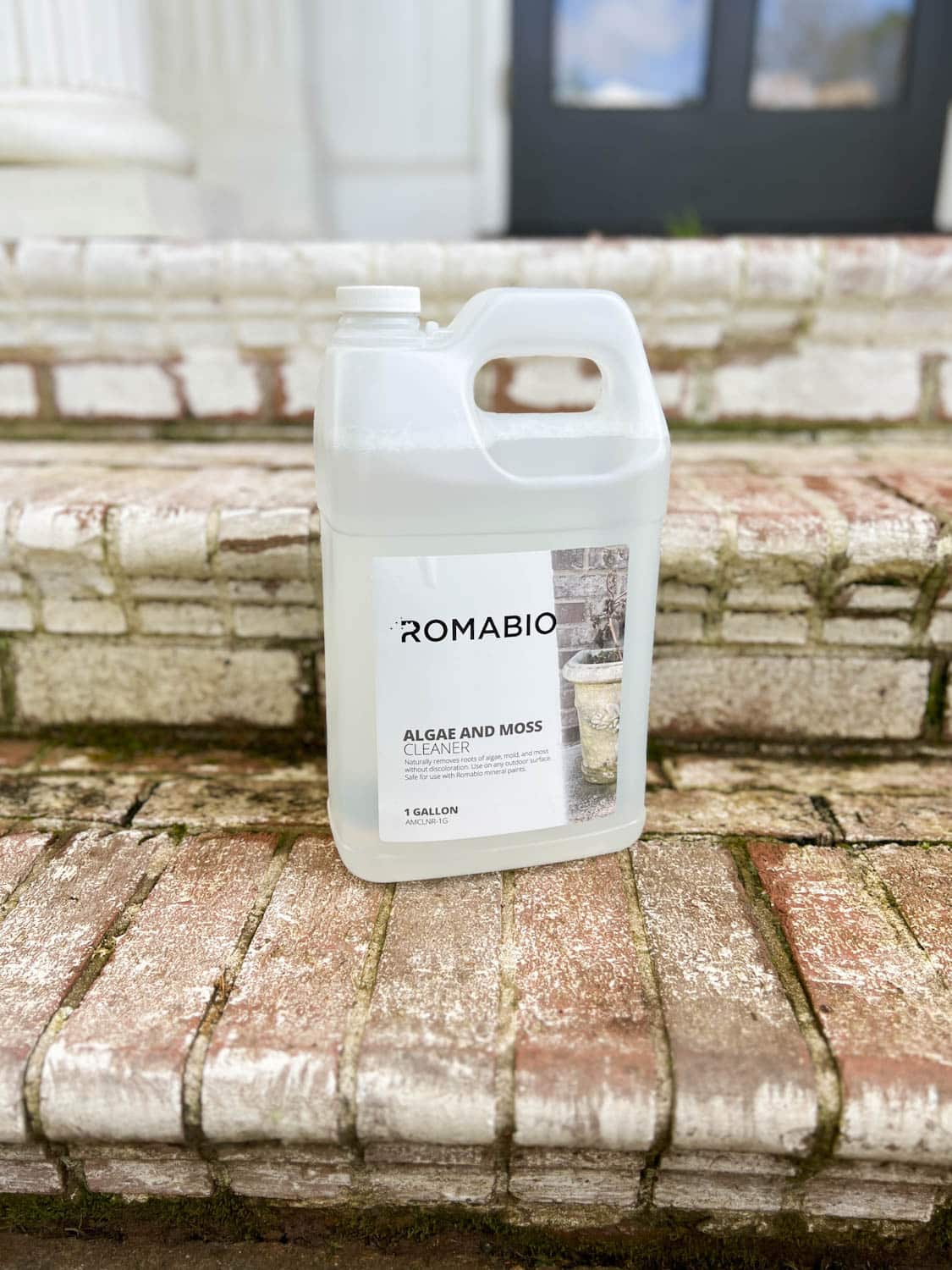 romabio algae and moss cleaner